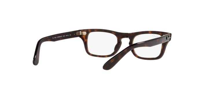 Ray-Ban Junior Burbank RY9083V 3887