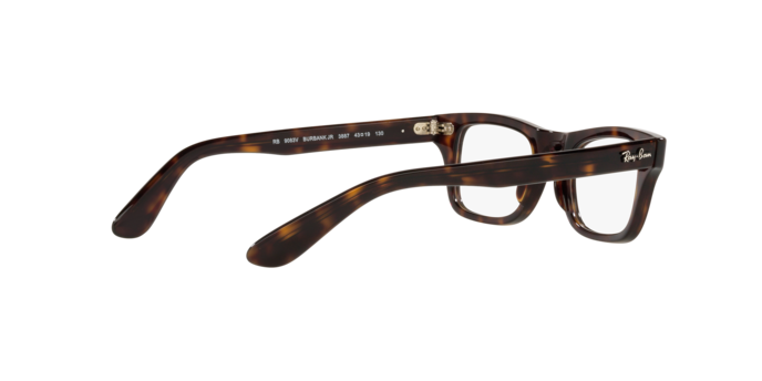 Ray-Ban Junior Burbank RY9083V 3887