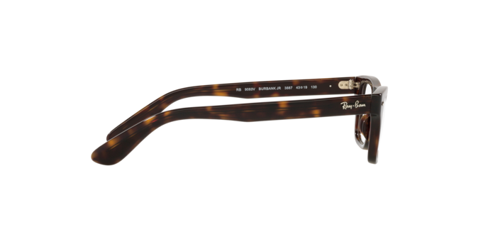 Ray-Ban Junior Burbank RY9083V 3887