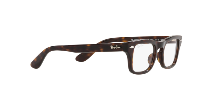 Ray-Ban Junior Burbank RY9083V 3887