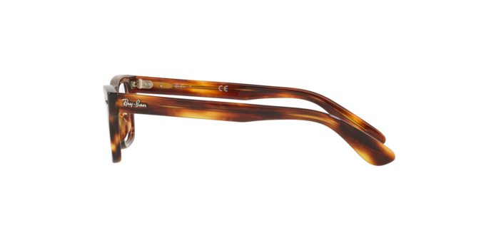 Ray-Ban Junior Burbank RY9083V 3888