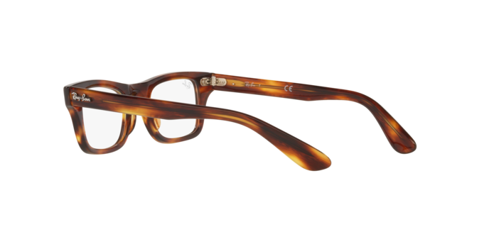 Ray-Ban Junior Burbank RY9083V 3888