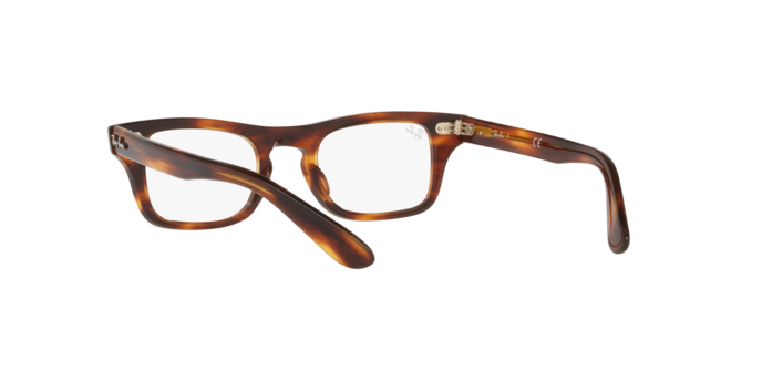 Ray-Ban Junior Burbank RY9083V 3888