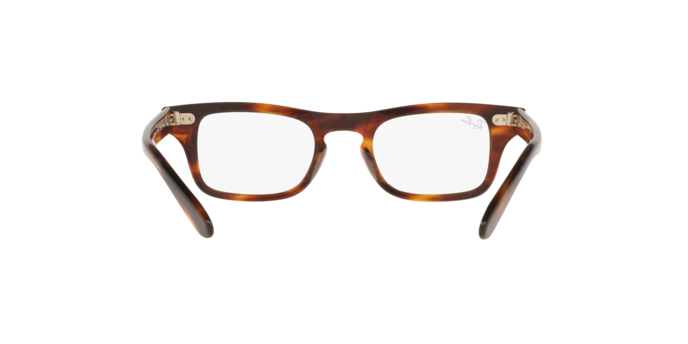 Ray-Ban Junior Burbank RY9083V 3888