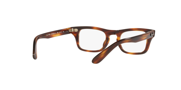 Ray-Ban Junior Burbank RY9083V 3888