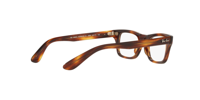 Ray-Ban Junior Burbank RY9083V 3888
