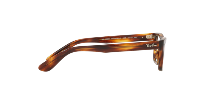 Ray-Ban Junior Burbank RY9083V 3888