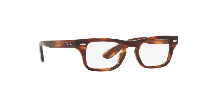 Ray-Ban Junior Burbank RY9083V 3888