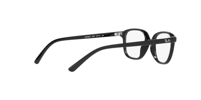 Ray-Ban Junior Leonard RY9093V 3542