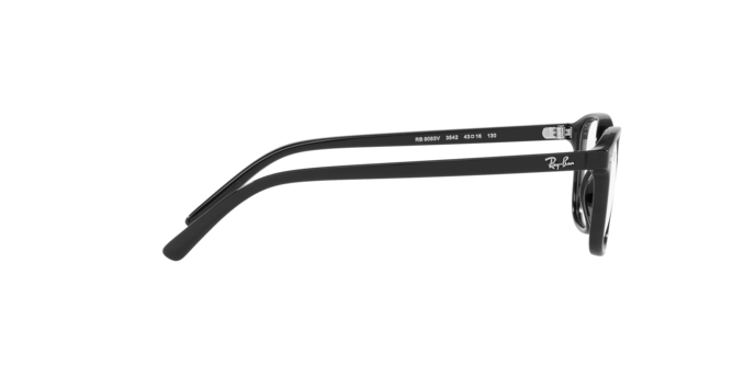 Ray-Ban Junior Leonard RY9093V 3542