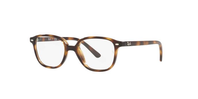 Ray-Ban Junior Leonard RY9093V 3685