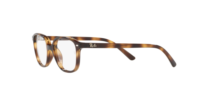 Ray-Ban Junior Leonard RY9093V 3685