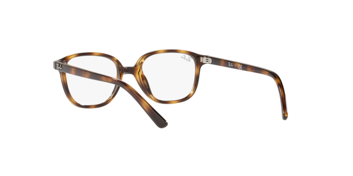 Ray-Ban Junior Leonard RY9093V 3685