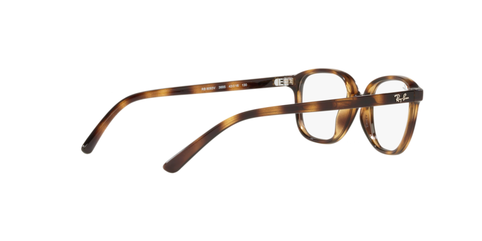 Ray-Ban Junior Leonard RY9093V 3685