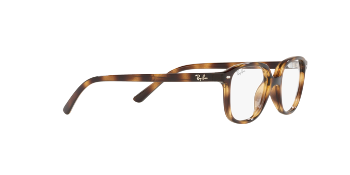 Ray-Ban Junior Leonard RY9093V 3685