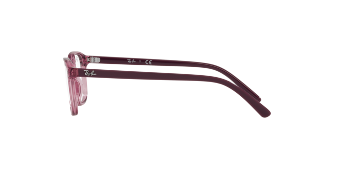 Ray-Ban Junior Leonard RY9093V 3898