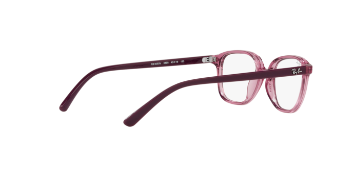 Ray-Ban Junior Leonard RY9093V 3898