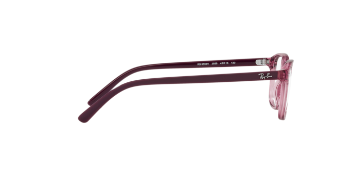 Ray-Ban Junior Leonard RY9093V 3898