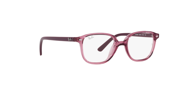 Ray-Ban Junior Leonard RY9093V 3898