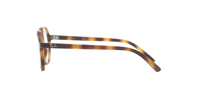 Ray-Ban Junior Thalia RY9095V 3685