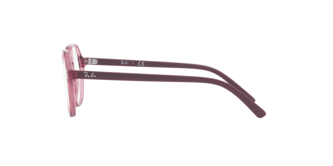 Ray-Ban Junior Thalia RY9095V 3898