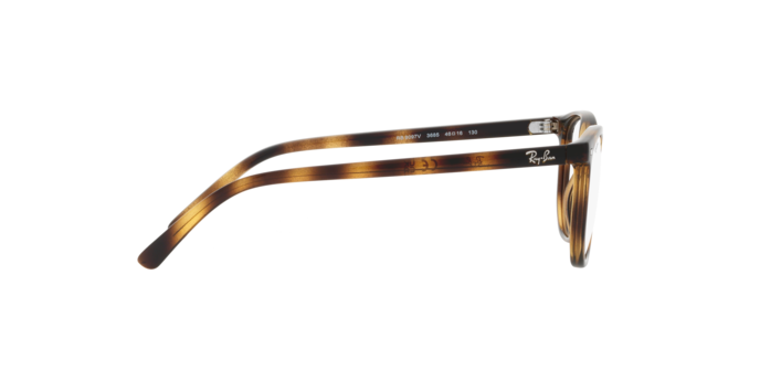 Ray-Ban Junior Elliot RY9097V 3685