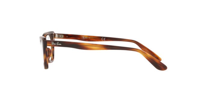 Ray-Ban Miss Burbank RY9099V 3888