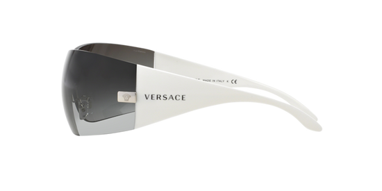 Versace Sunglasses VE2054 SILVER