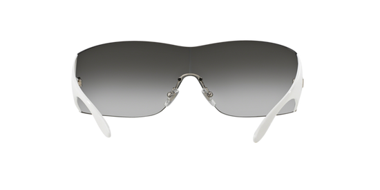 Versace Sunglasses VE2054 SILVER