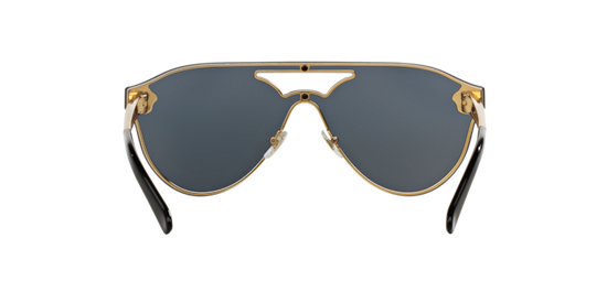 Load image into Gallery viewer, Versace Sunglasses VE2161 GOLD
