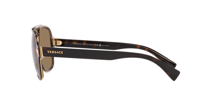 Versace Sunglasses VE2199 HAVANA