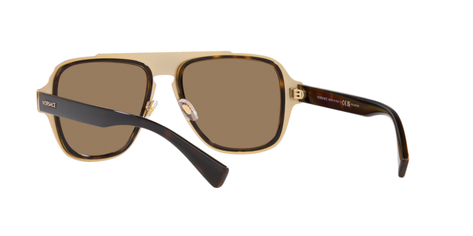 Versace Sunglasses VE2199 HAVANA