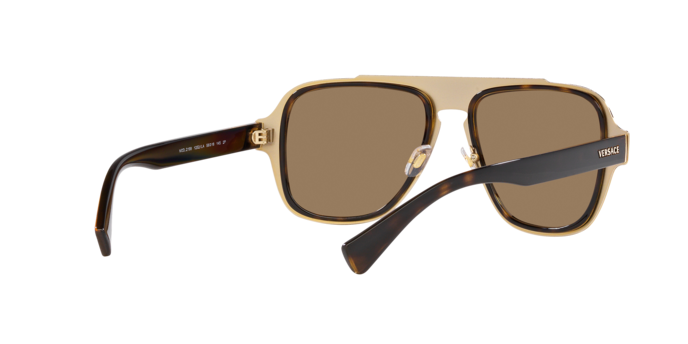 Versace Sunglasses VE2199 HAVANA