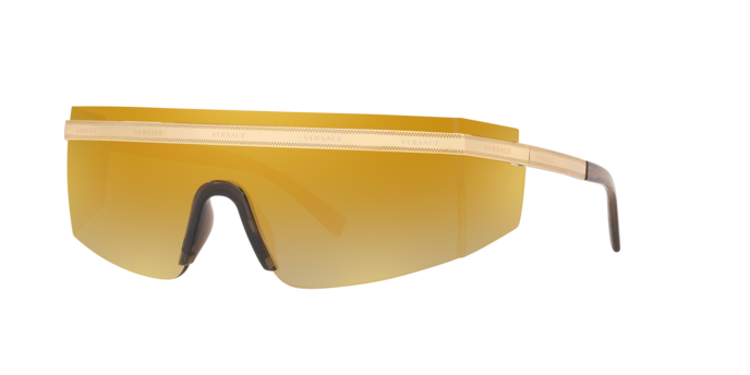 Versace Sunglasses VE2208 GOLD