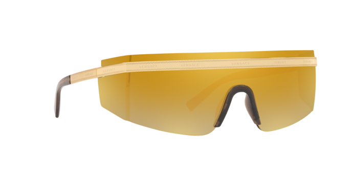 Versace Sunglasses VE2208 GOLD