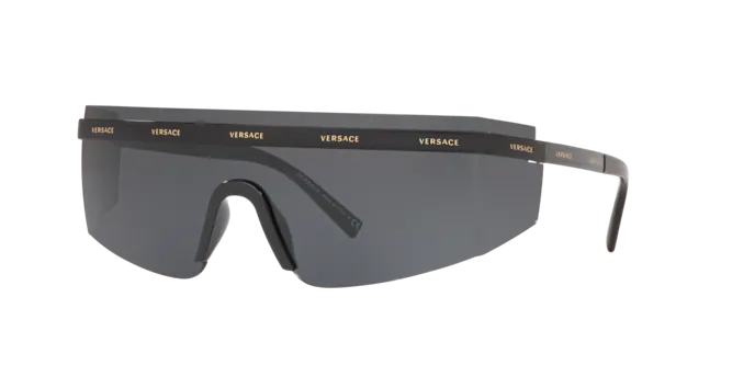 Versace Sunglasses VE2208 BLACK