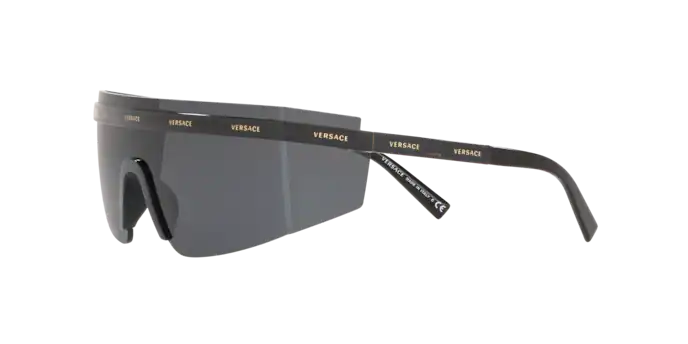 Versace Sunglasses VE2208 BLACK