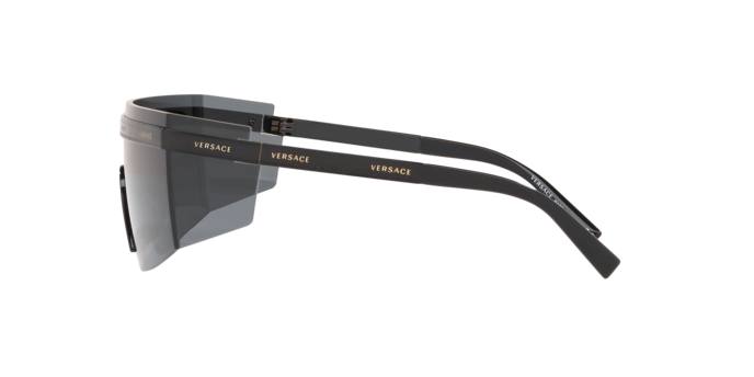 Versace Sunglasses VE2208 BLACK