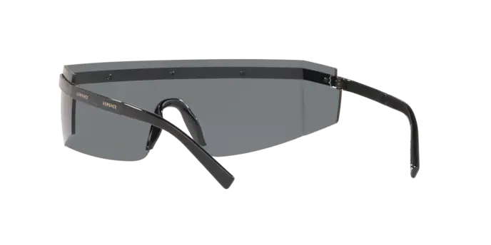 Versace Sunglasses VE2208 BLACK