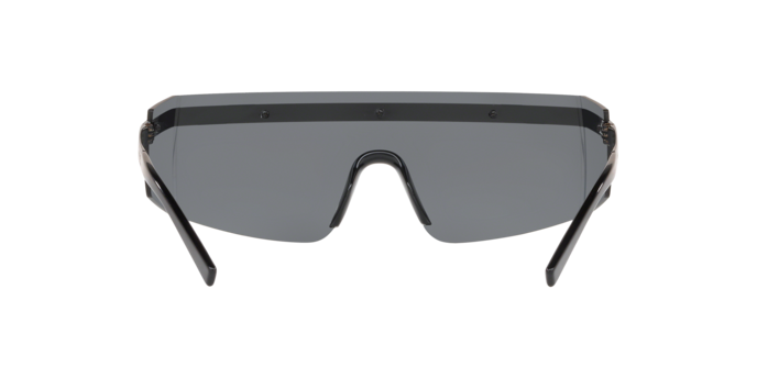 Versace Sunglasses VE2208 BLACK