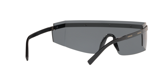 Versace Sunglasses VE2208 BLACK