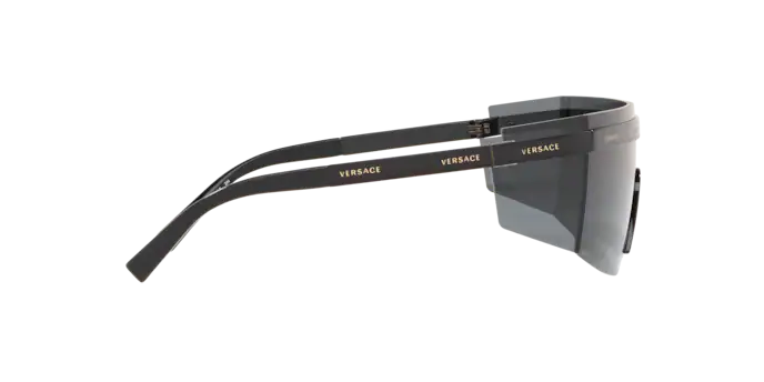 Versace Sunglasses VE2208 BLACK