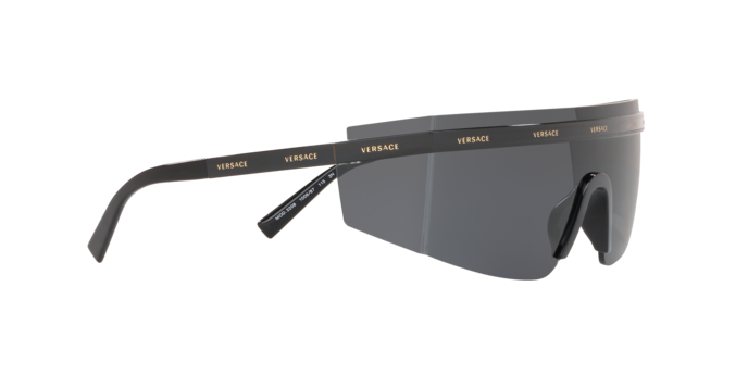 Versace Sunglasses VE2208 BLACK