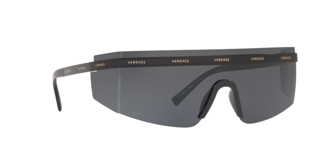 Versace Sunglasses VE2208 BLACK