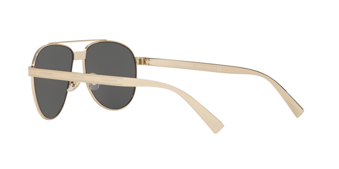 Versace Sunglasses VE2209 PALE GOLD
