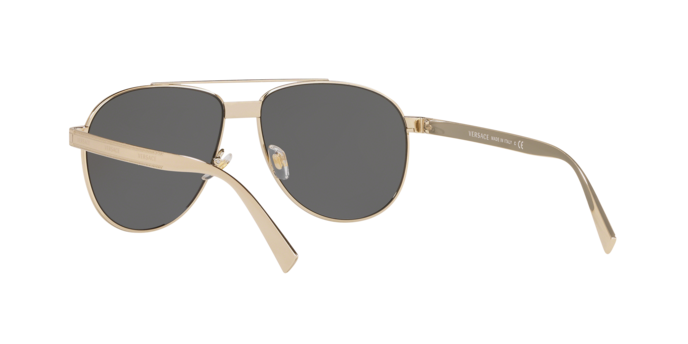 Versace Sunglasses VE2209 PALE GOLD