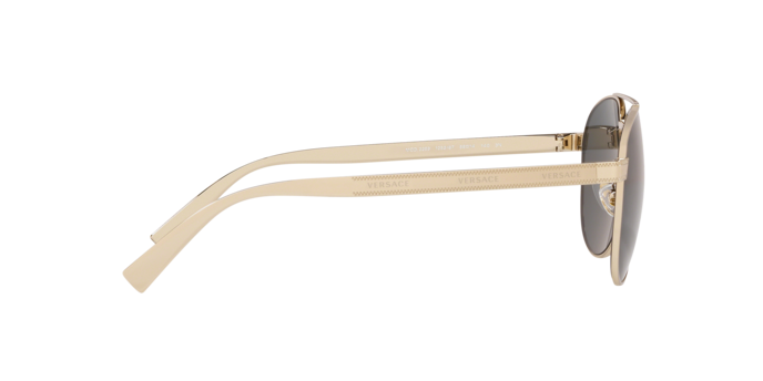 Versace Sunglasses VE2209 PALE GOLD