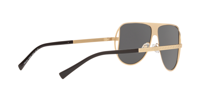 Versace Sunglasses VE2212 GOLD