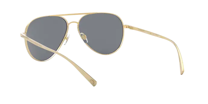 Versace Sunglasses VE2217 GOLD