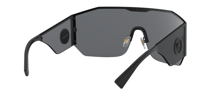 Versace Sunglasses VE2220 BLACK